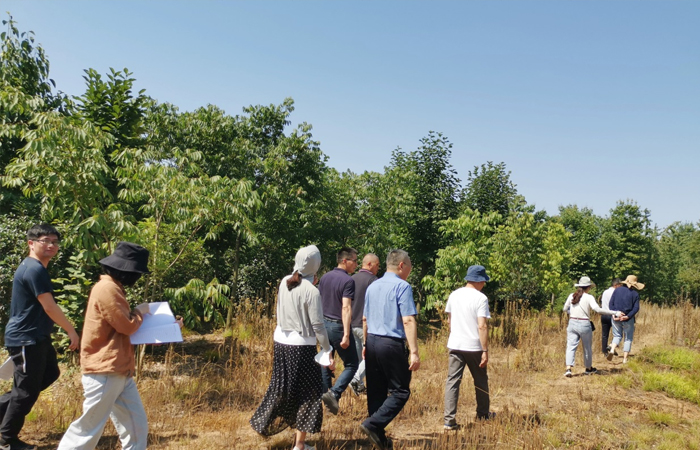 名邦地產集團常務副總裁李寬洲等領導一行 蒞臨苗圃基地調研指導
