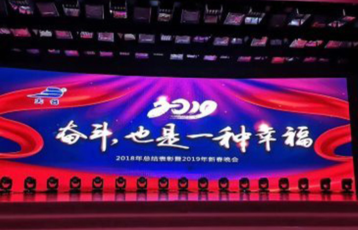 “奮斗，也是一種幸福”大名集團(tuán)2018年總結(jié)表彰暨2019年新春晚會(huì)

