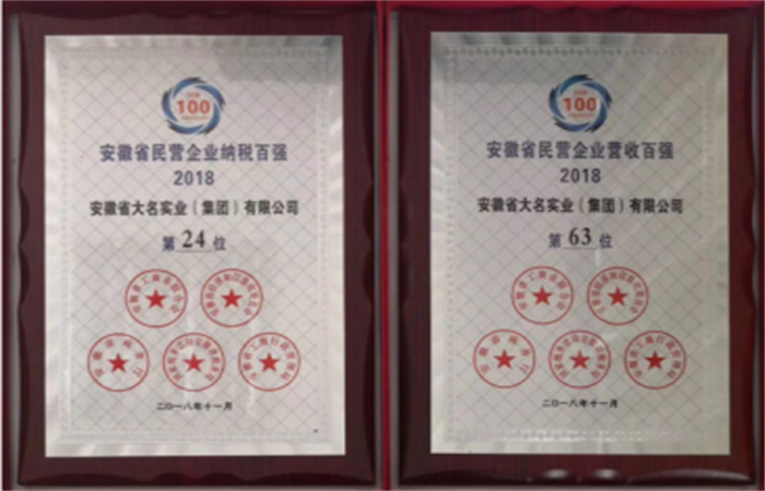 2018年安徽省民營(yíng)企業(yè)百?gòu)?qiáng)，安徽省大名實(shí)業(yè)（集團(tuán)）有限公司榜上有名
