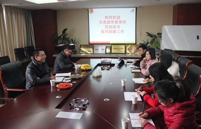 合肥市團市委領導蒞臨我司指導集團團建工作
