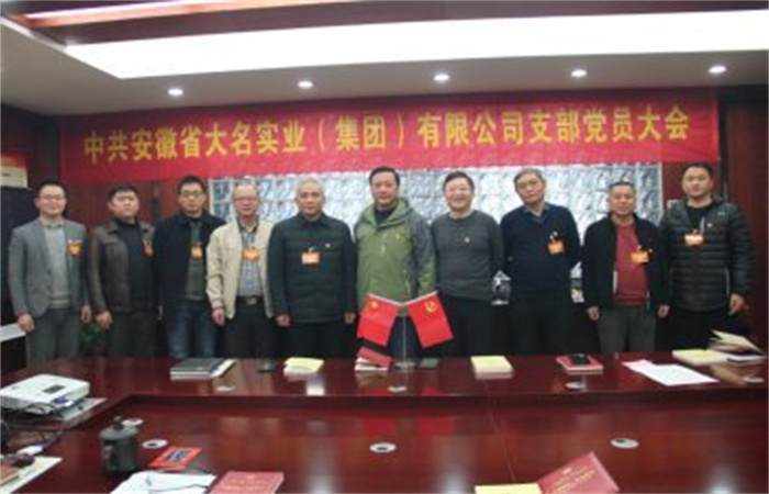 凝心聚力開啟新征程，砥礪奮進譜寫新篇章  ——記中共安徽省大名實業（集團）有限公司支部換屆選舉大會順利召開
