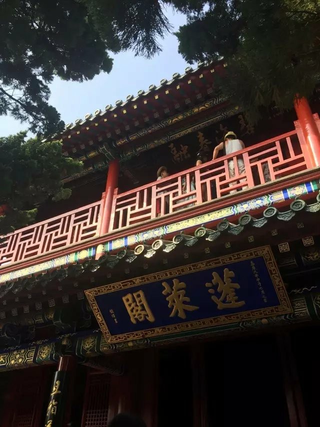 大名集團2015年山東長島夏日游