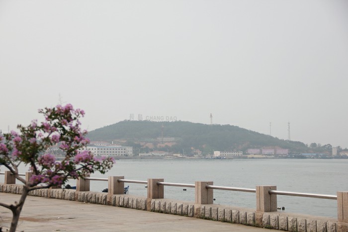 大名集團2015年山東長島夏日游