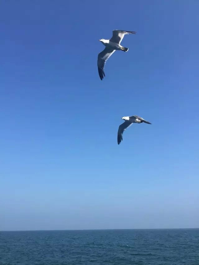 大名集團2015年山東長島夏日游