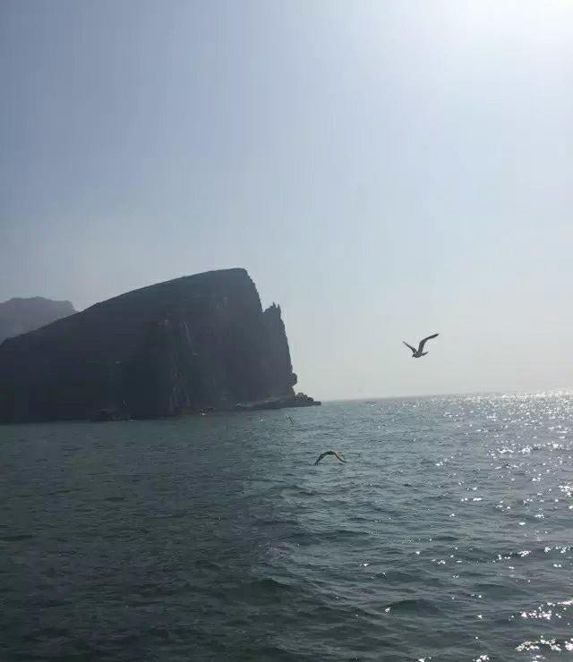大名集團2015年山東長島夏日游